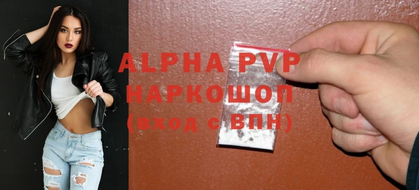 apvp Ельня