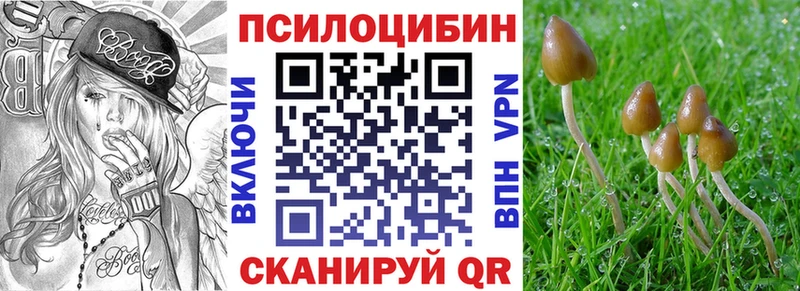 Галлюциногенные грибы Psilocybe Алагир